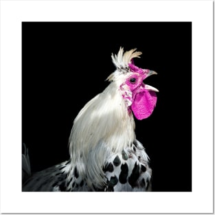 rooster 1 / Swiss Artwork Photography Posters and Art